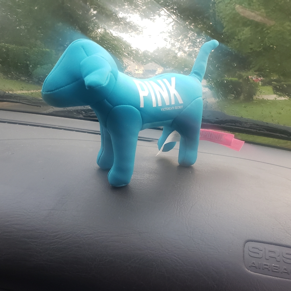 Pink Dog by Victoria's Secret